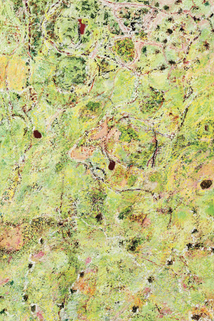 James Yuncken, Lush Green Earth - 121.5 x 80.5 cm, oil paint, oil stick, pigments on board, 2006