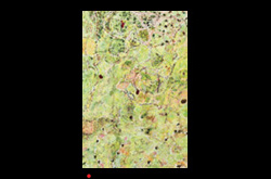 James Yuncken Lush Green Earth 122 x 81 cm oil oil stick pigments on board 2006