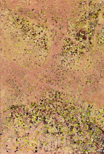 James Yuncken Red Earth - 121 x 81 cm, acrylic media on board, 2008