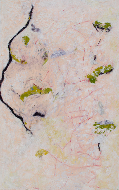 James Yuncken, Body Map - 80 x 50 cm, acrylic, pastel on paper, 2004