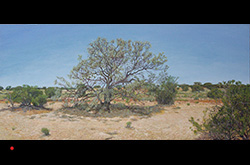 James Yuncken, Oodnadatta Track, South Australia's Outback, Oodnadatta: Along the Golf Tower Walk - 37 x 80 cm, acrylic on board, 2017