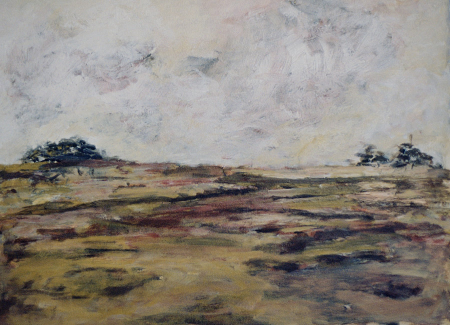 James Yuncken, Flat Country - 30 x 40 cm, acrylic on paper, 2000