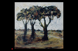 Three Trees in Flat Country, 2000