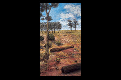 Self-generated Landscape No 6- Windbreak 2003