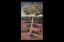 Self-generated Landscape No 12- Tree 2003