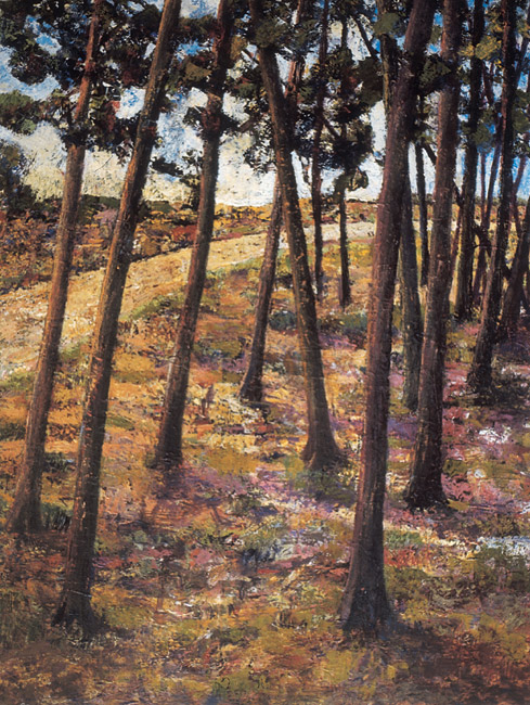 James Yuncken, Self-generated Landscape No 10 - Plantation Forrest Road - 81 x 61 cm, oil on board, 2003