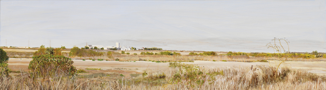 James Yuncken, Salt Works Port Alma, 38 x 108 cm, acrylic on board, 2010