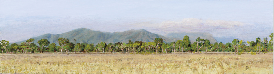 James Yuncken, North of Bowen, 27.5 x 100 cm, acrylic on board, 2010