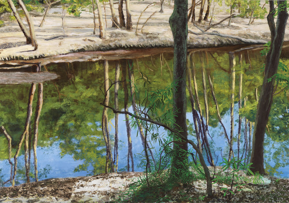 James Yuncken, Wenlock River, 70 x 100 cm, acrylic on board, 2010