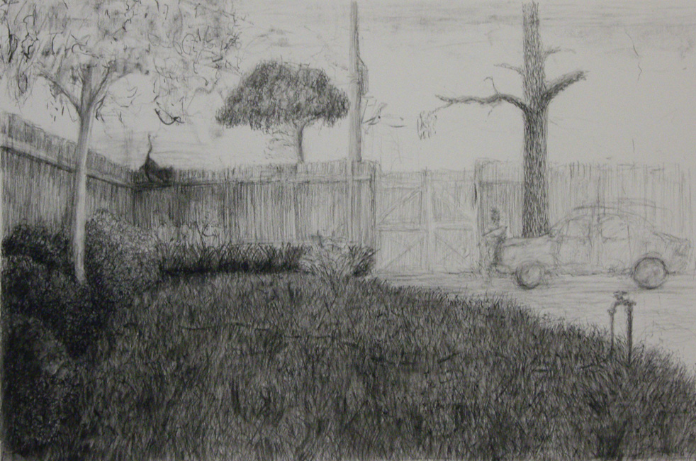 James Yuncken, Lawn Unmown - 50 x 70 cm, charcoal on paper, 2009