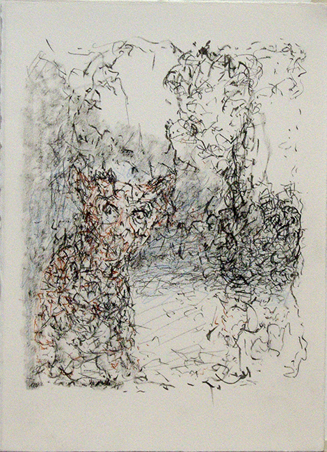 James Yuncken, Bunyip - 38.5 x 27.5 cm (paper), ink on paper, 2016
