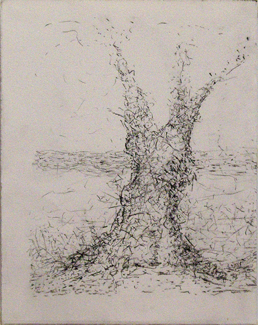 James Yuncken, Tree - 27.5 x 22 cm (paper), ink on paper, 2016