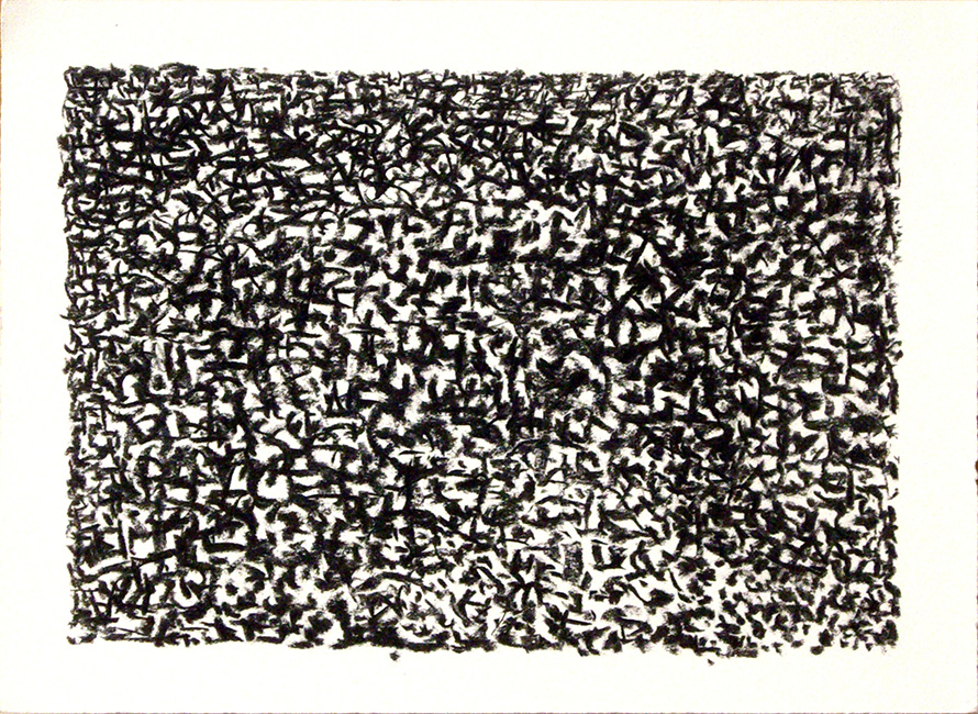 James Yuncken, Pattern - 27.5 x 38.5 cm (paper), willow charcoal on paper, 2016