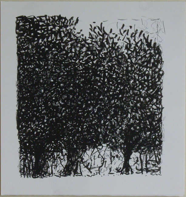 James Yuncken, Orchard - 35 x 33.5 cm, ink on paper, 2016