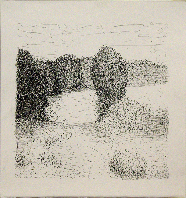 James Yuncken, A Pond - 35 x 33.5 cm, conte charcoal on paper, 2017