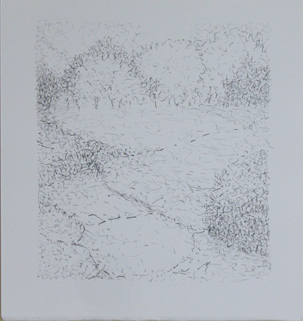 James Yuncken, Park - 35 x 33.5 cm, conte charcoal on paper, 201