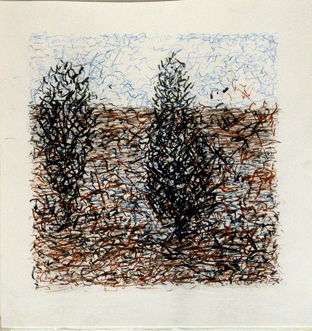 James Yuncken, Trees in a landscape - 35 x 33.5 cm, conte pencils on paper, 2017