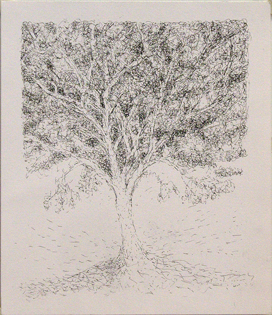 James Yuncken, Forever Tree - 34 x 30 cm, ink on paper, 2017