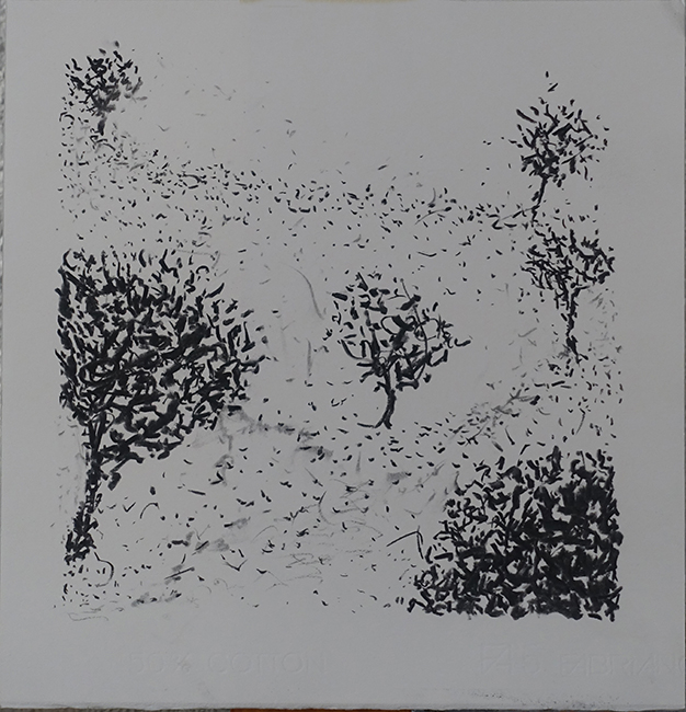 James Yuncken, Trees - 35 x 34 cm, charcoal on paper, 2020