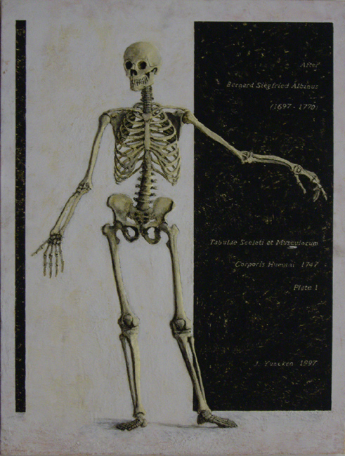 James Yuncken, After Plate 1, Tabulae Sceleti et Musculorum Corporis Humani, 
		by Bernhard Siegfried Albinus - 80 x 61 cm, 1997
